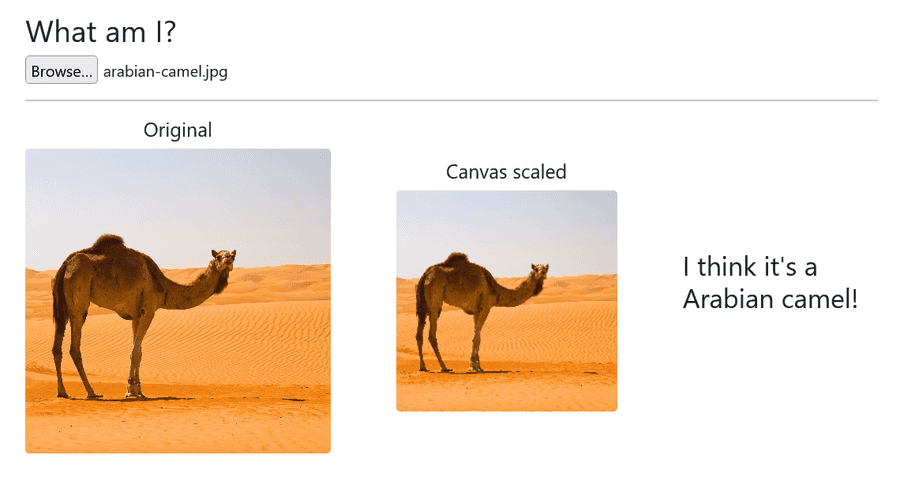 alexnet image classifier